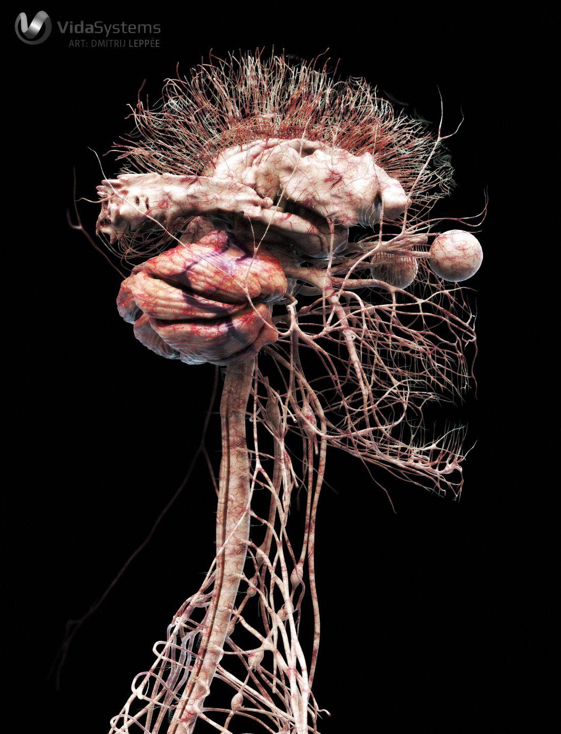 1102x1440 Central nervous system