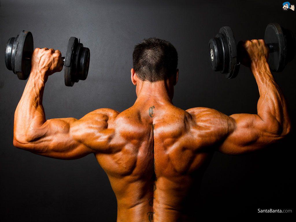 1024x768 Fitness Wallpaper