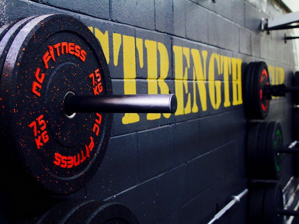 1024x768 Download wallpaper 1024x768 gym, disks, weight, bodybuilding standard 4:3 HD background