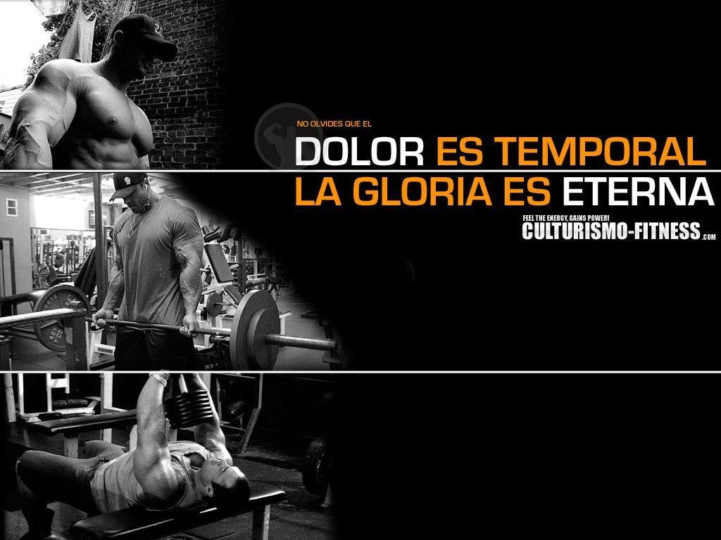 1024x768 Gym Wallpaper