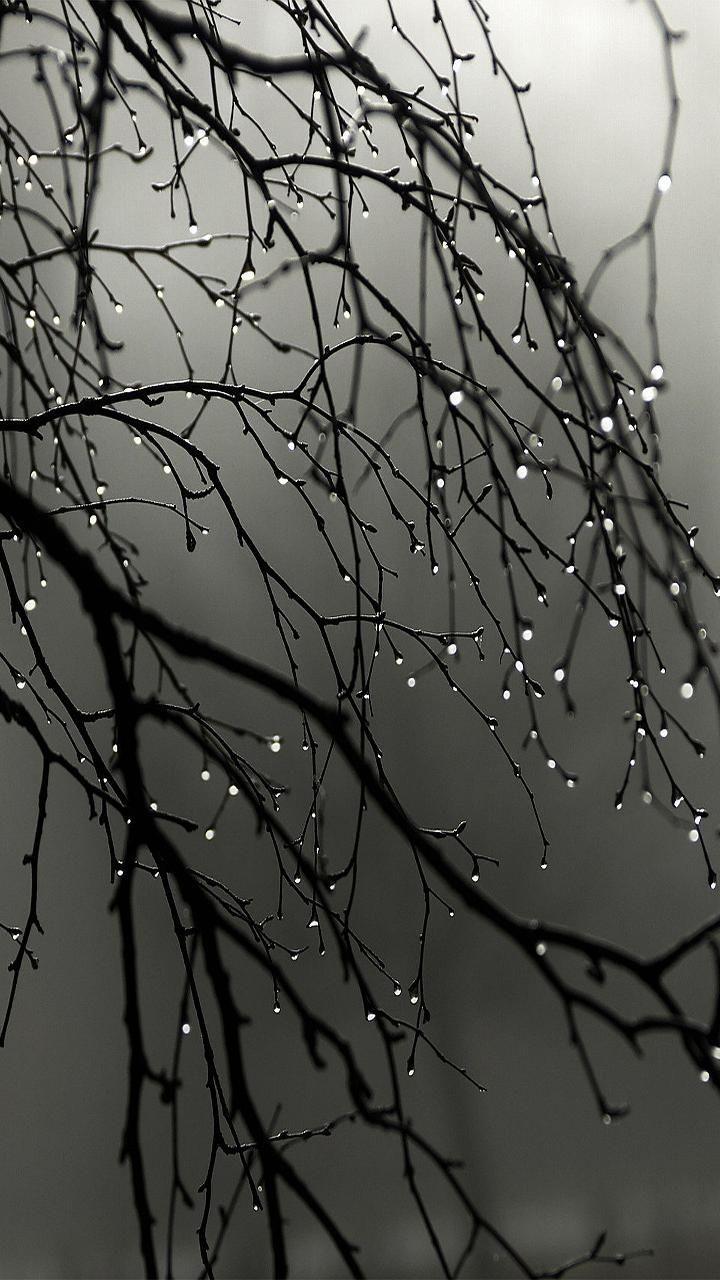 720x1280 Background. Rain wallpaper, Dark wallpaper, Nature photography