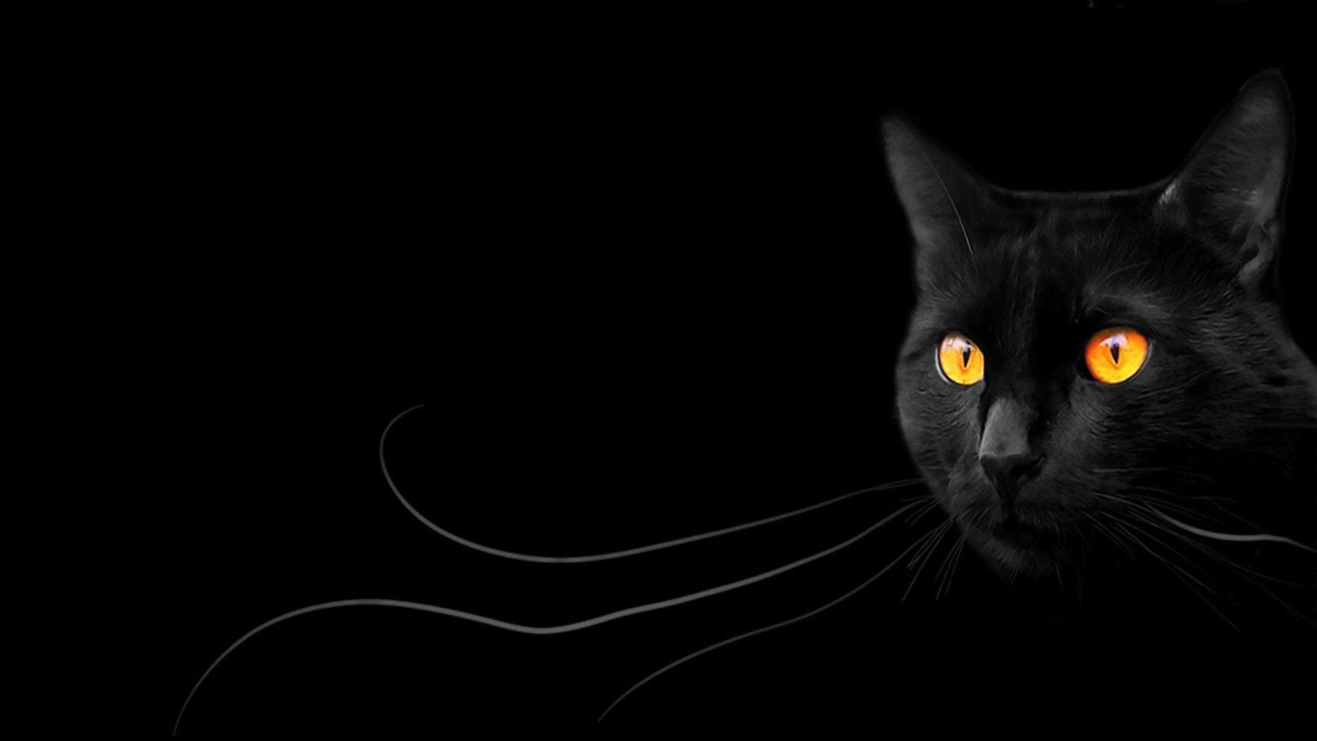 1920x1080 Black Magic Wallpaper
