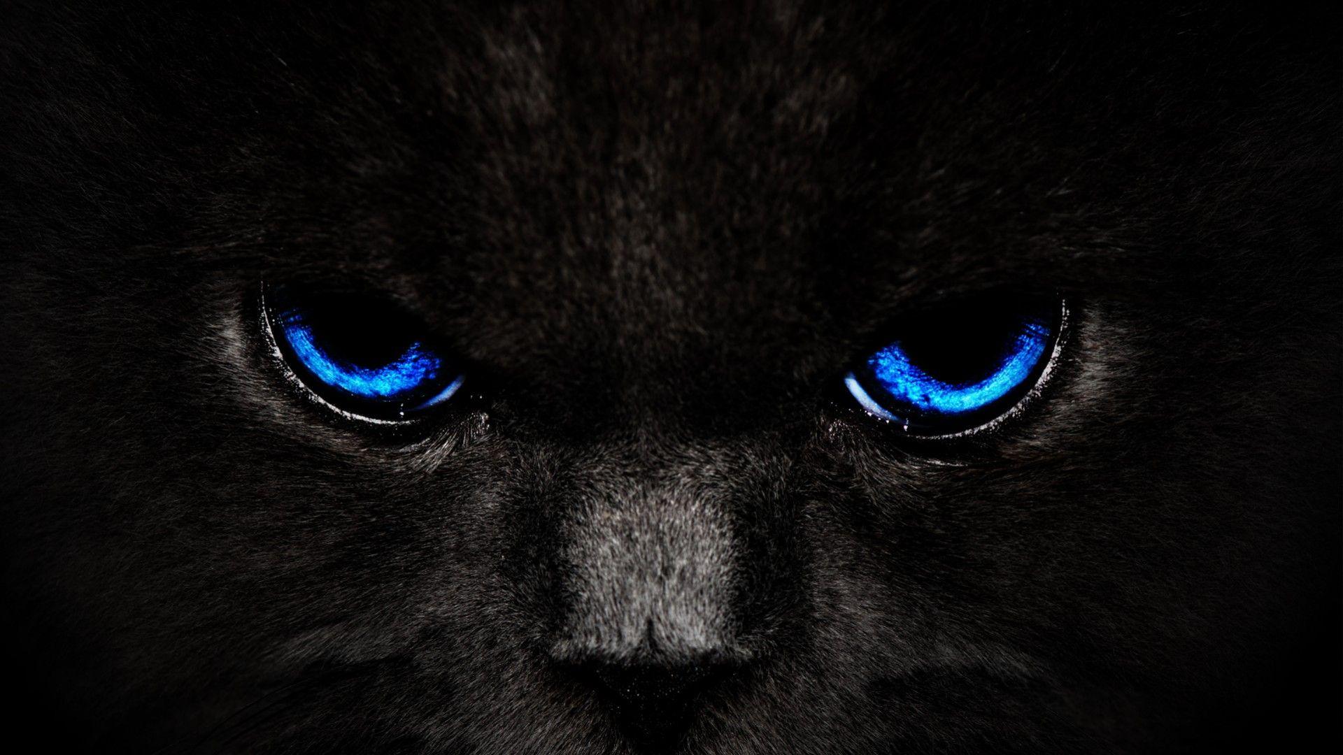 1920x1080 Black Panther Blue Eyes Wallpaper