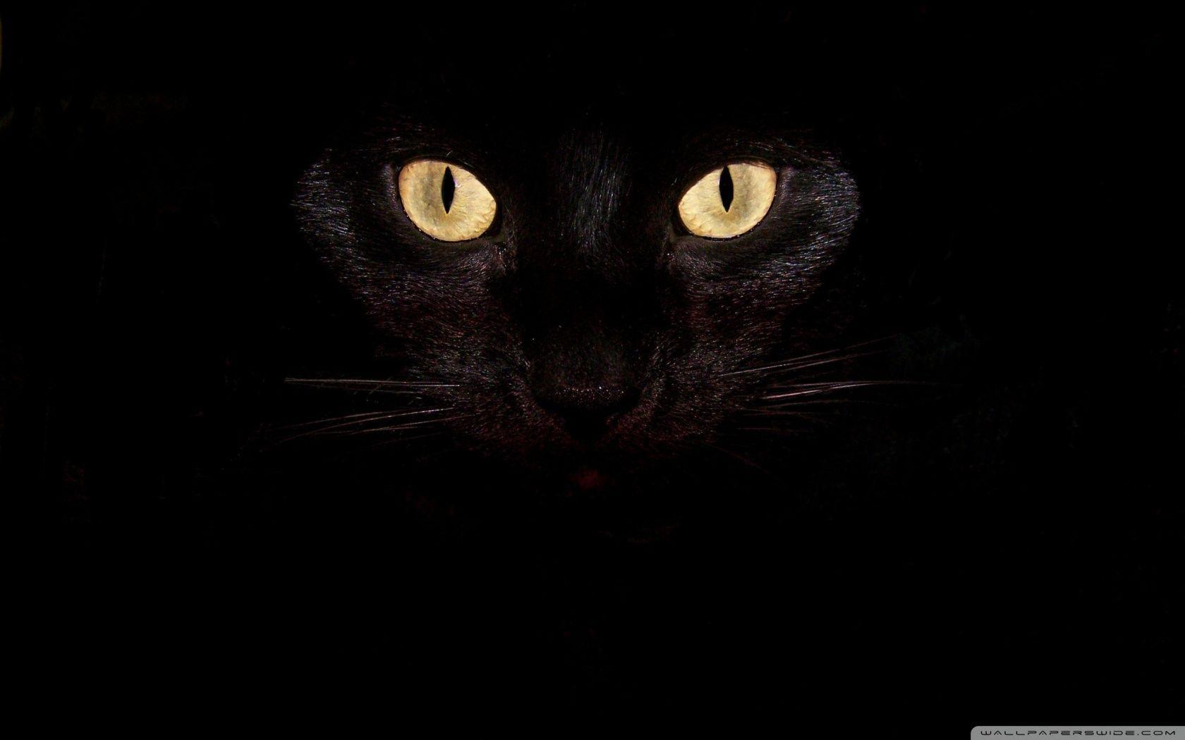 1680x1050 Black Eyes Wallpaper