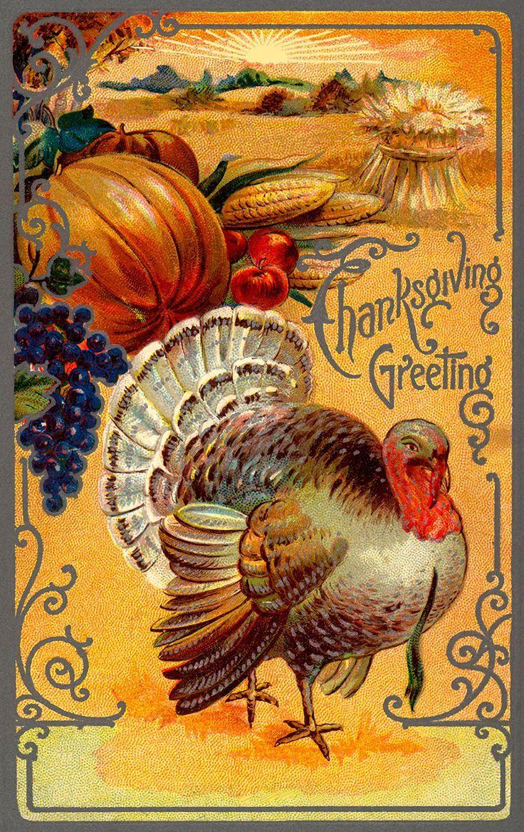 736x1168 Vintage Thanksgiving Turkey 736×168 Pixels