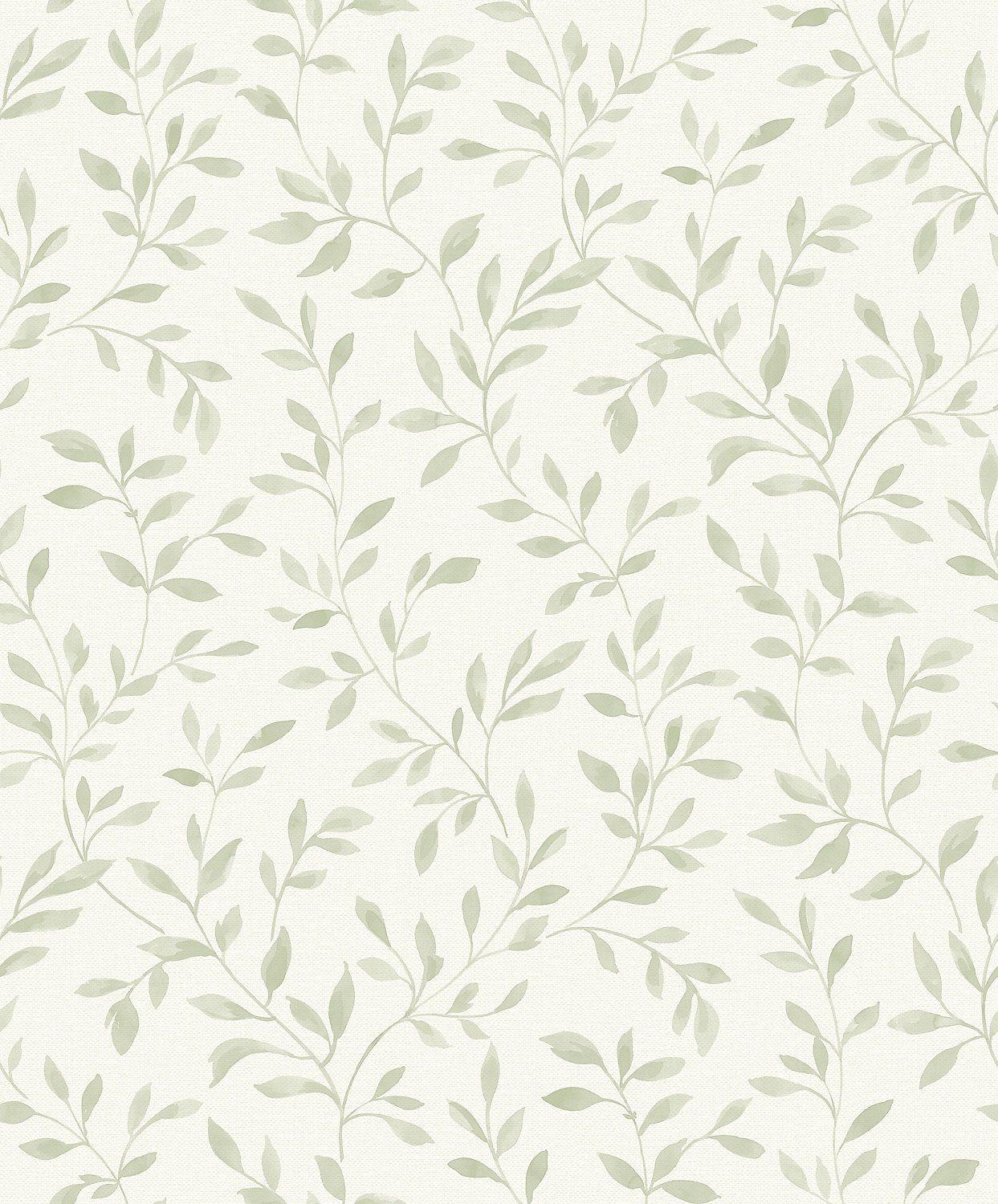 Sage Green Aesthetic Wallpapers  Wallpaper Cave