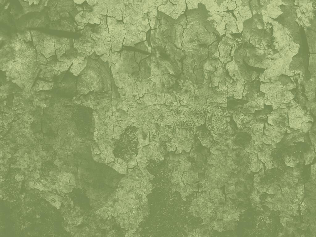 Green Trees Wallpaper For Chromebook  Chromebook Wallpapers
