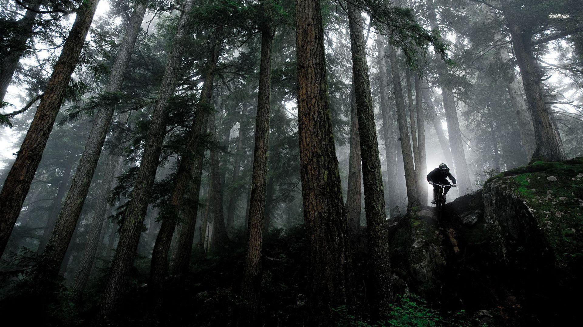 1920x1080 MTB Wallpaper. MTB Whip Wallpaper, MTB Wallpaper and Freestyle MTB Wallpaper