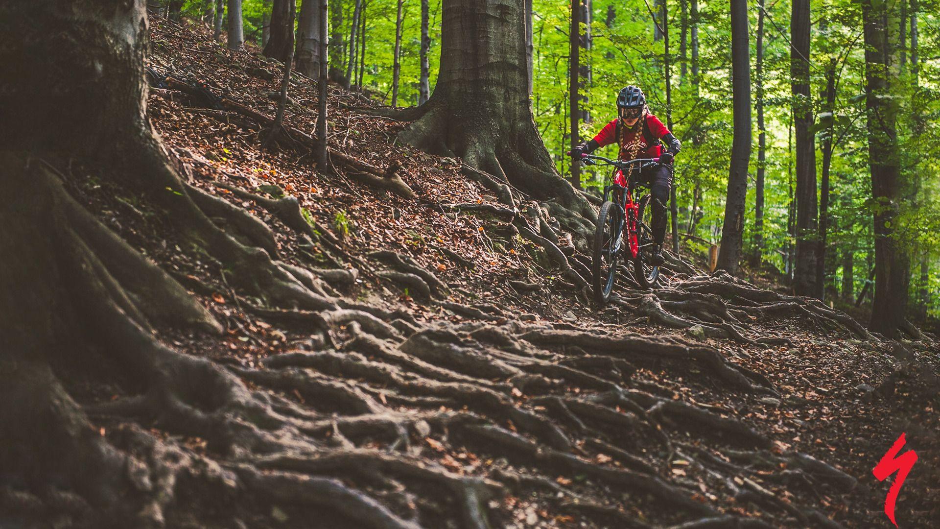 1920x1080 Download wallpaper forest, girl, nature, bike, roots, sport, track, helmet, braids, bike, bicycle, cycle, Cycling, specialized, mtb, Enduro, section sports in resolution 1920x1080