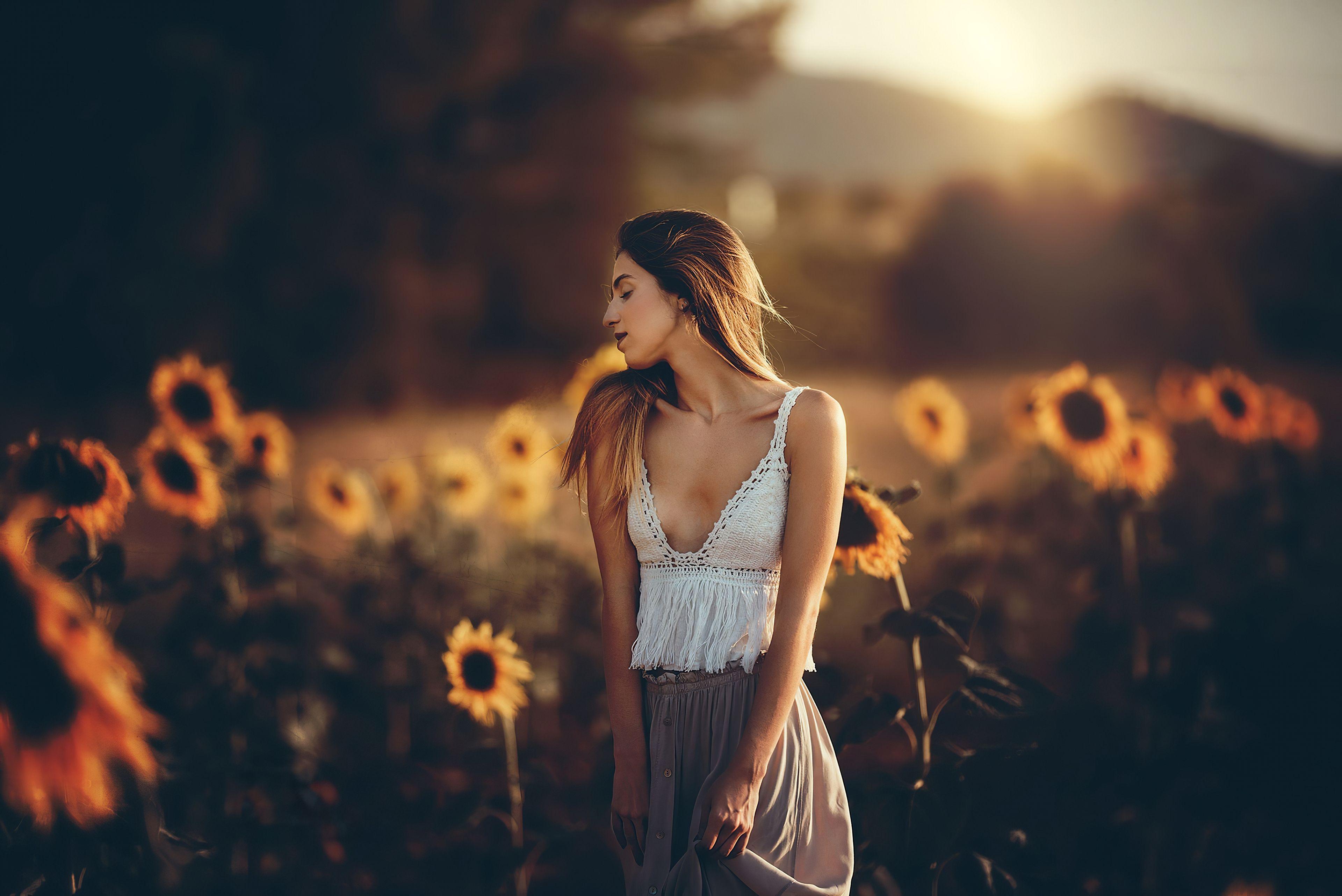 3840x2565 Sunflower HD Wallpaper & Background