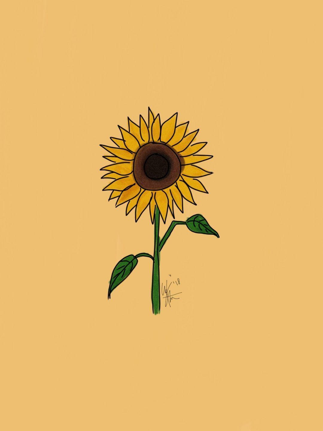 1080x1440 Yellow Aesthetic Sunflowers HD Wallpaper (1080p, 4k) HD Wallpaper