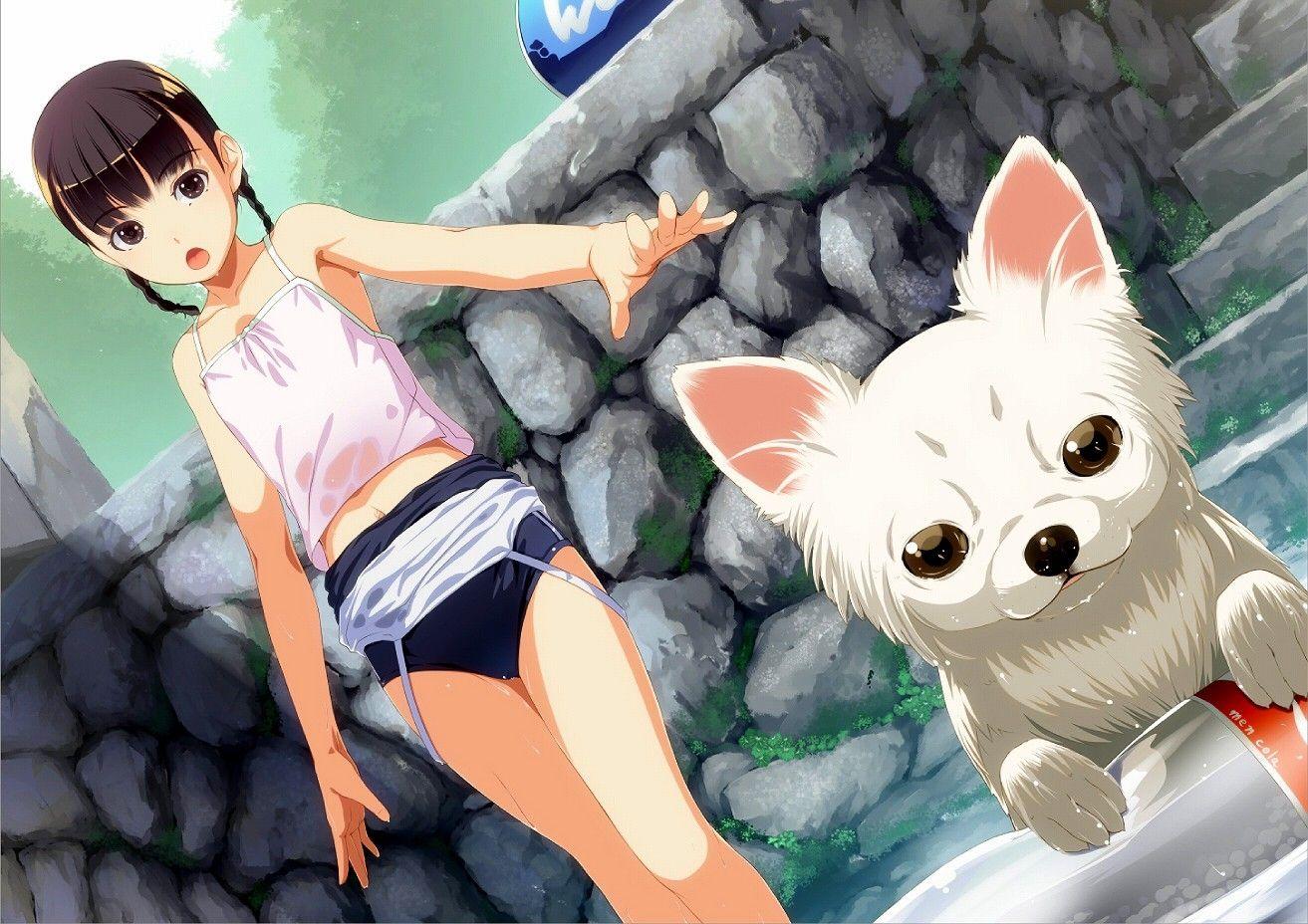 1313x928 brunettes wet dogs brown eyes anime braids anime girls 1313x928 wallpaper High Quality Wallpaper, High Definition Wallpaper