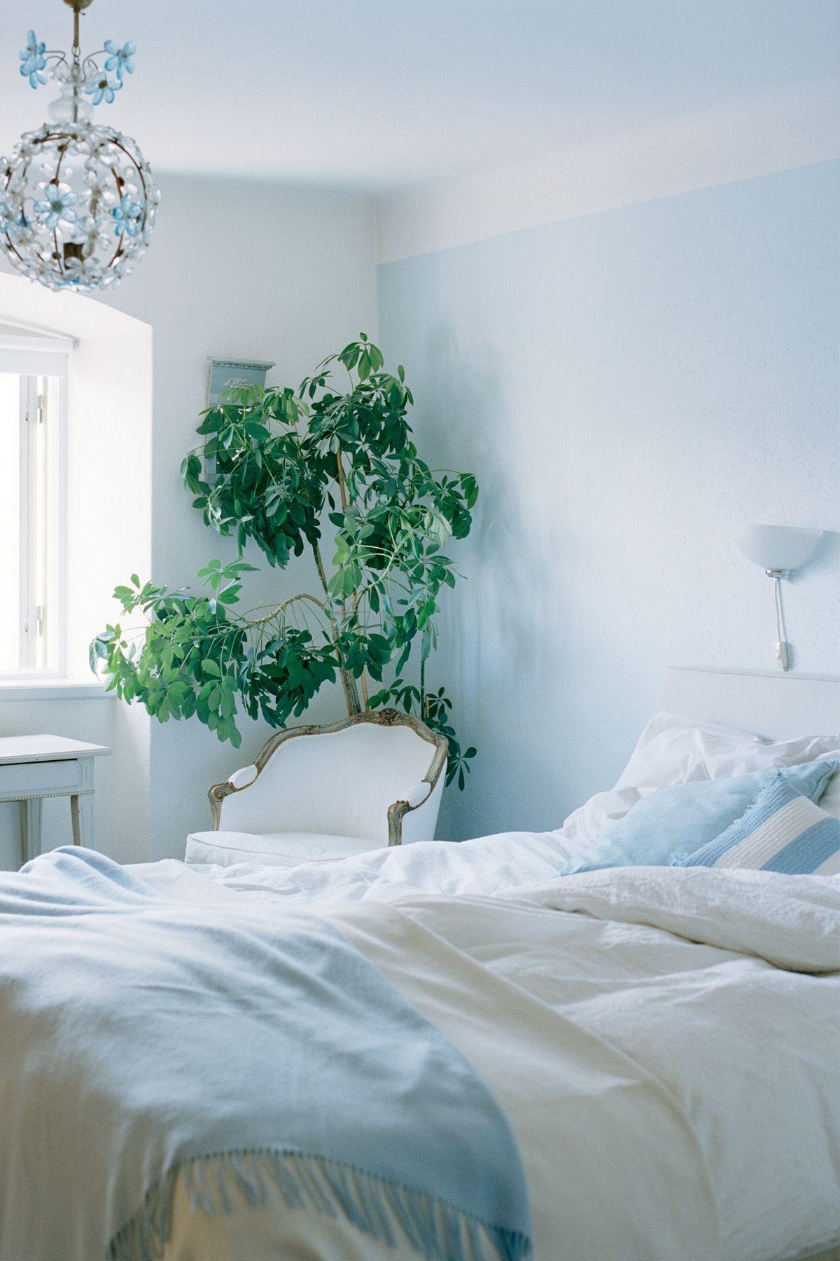 1200x1800 The Best Room Colors for Your Zodiac Sign