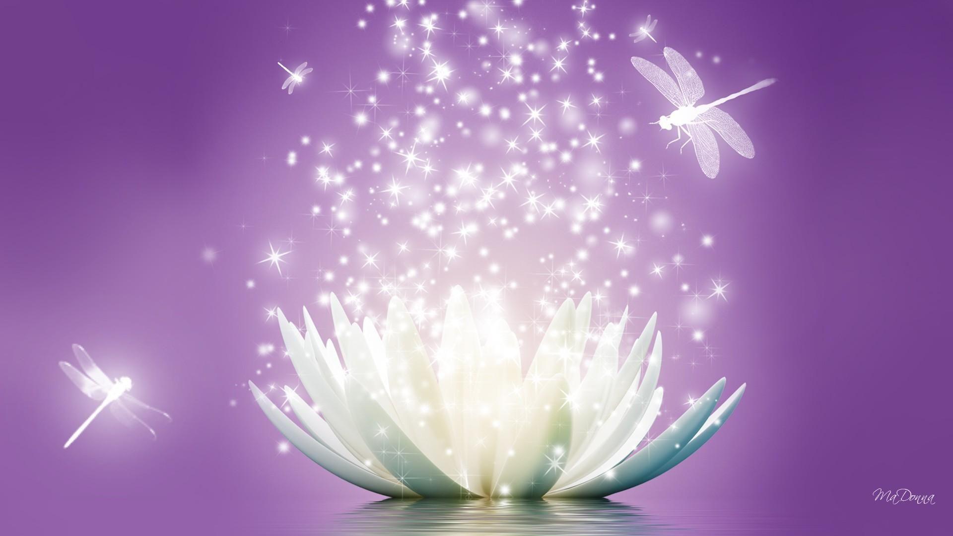 1920x1080 Purple Lotus Flower Wallpaper Wide. Lotus flower wallpaper, Flower wallpaper, Nature wallpaper