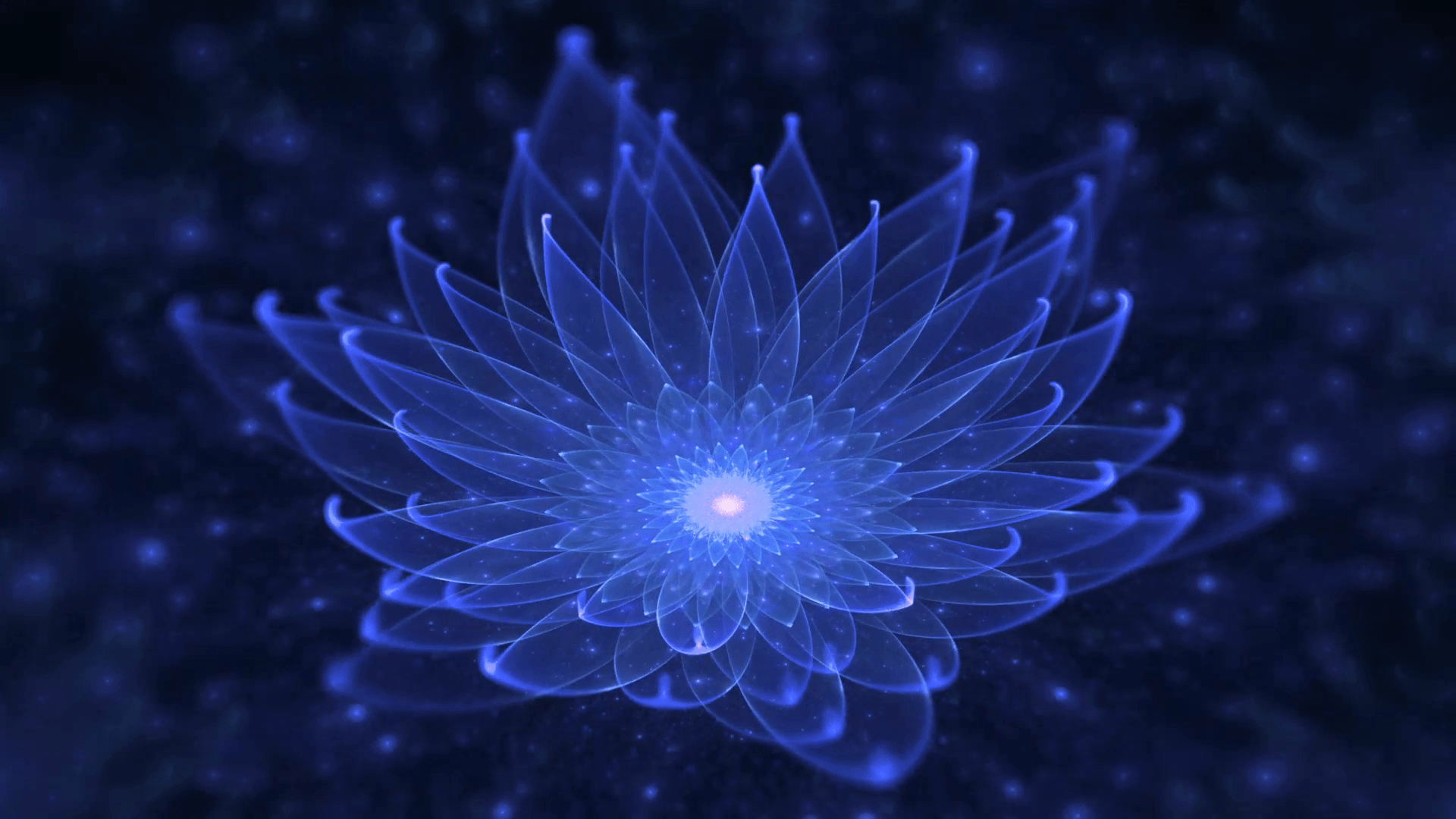 1920x1080 Free photo: Neon lily, Flower, Glow