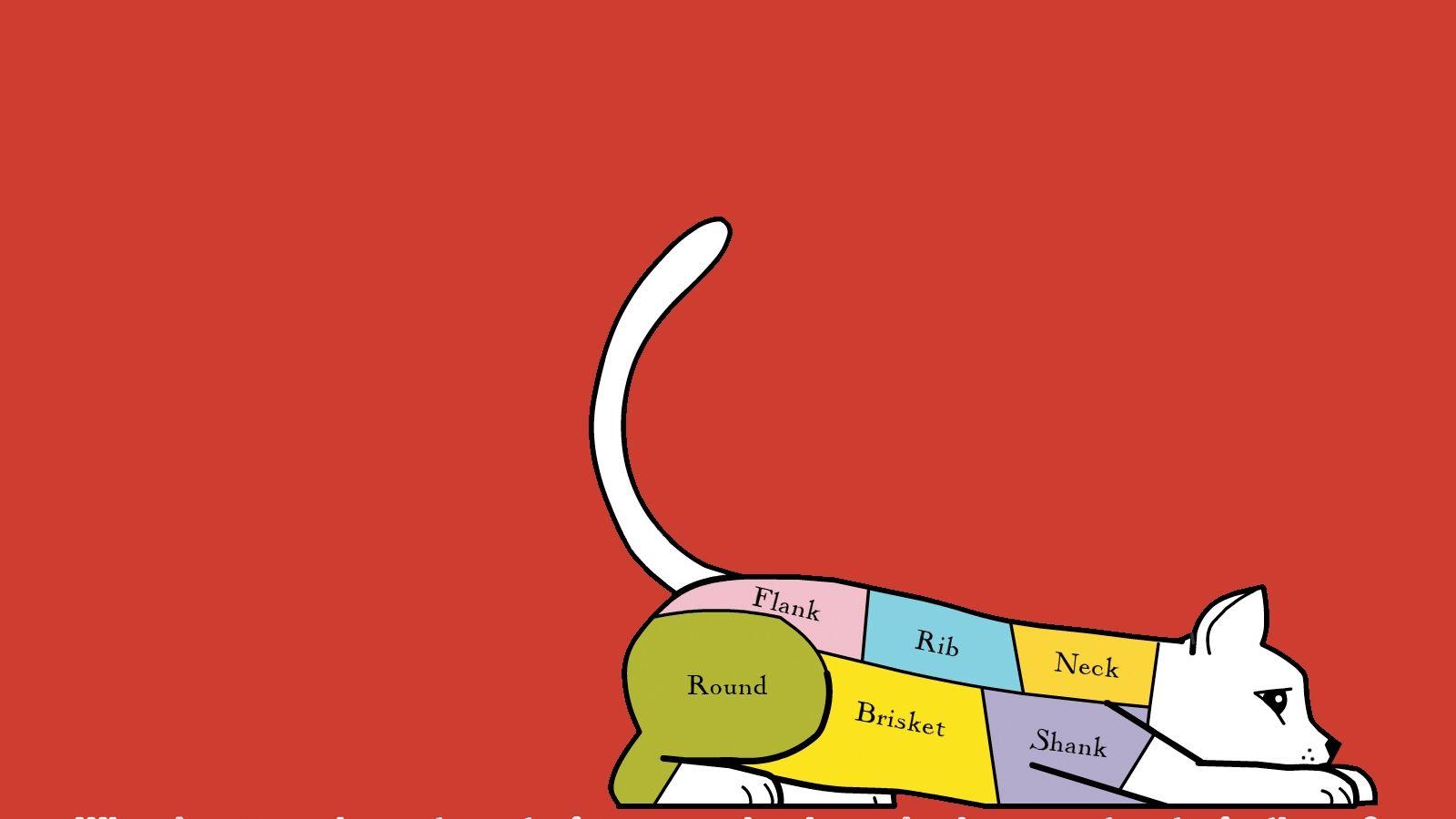 1600x900 Vegan Wallpaper