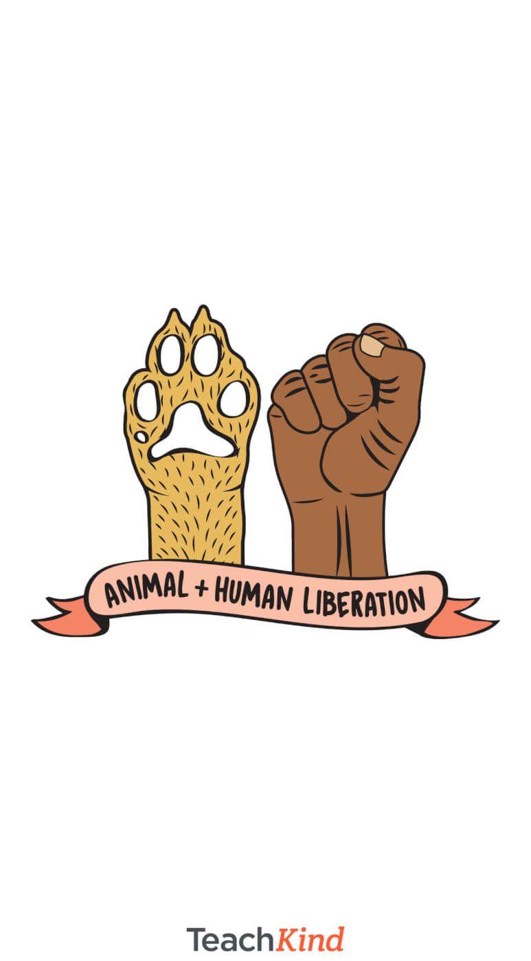 773x1400 Free Animal Rights iPhone Wallpaper For Teachers