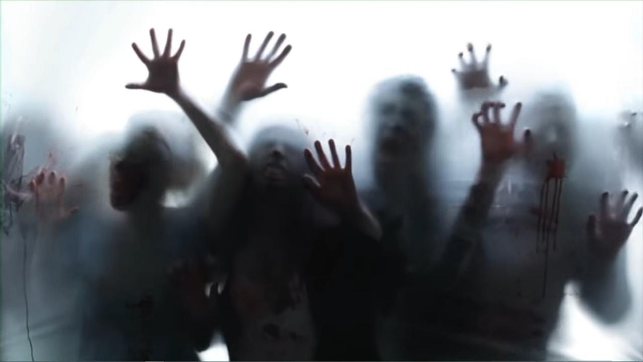 1280x720 Fond D'écran Animé Zombies Pc -wallpaper Engine Gif Wallpaper For Pc Wallpaper & Background Download