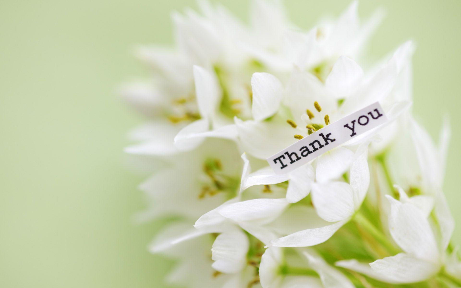 1920x1200 Thank You Wallpaper