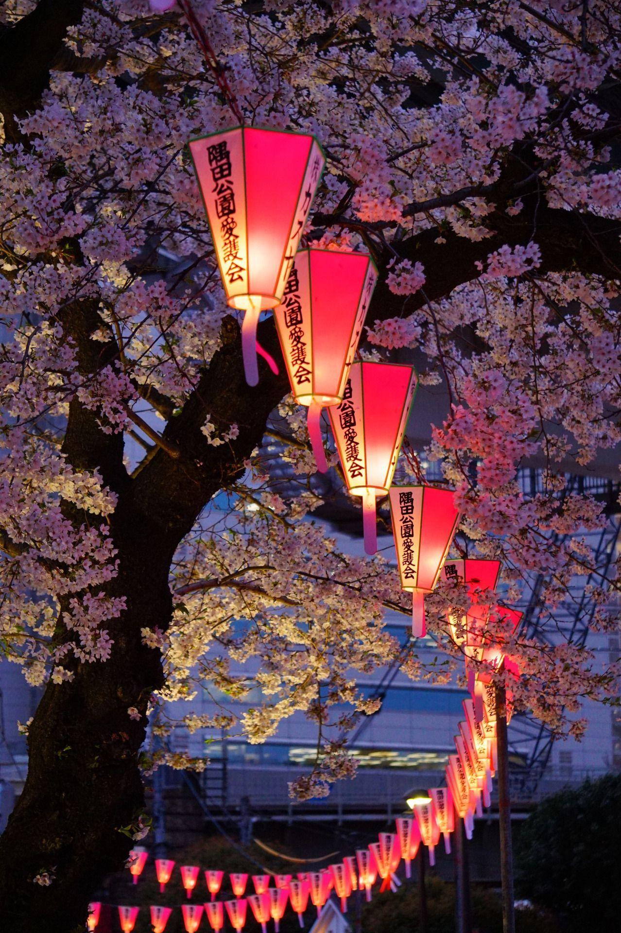 Japan Lantern Wallpapers - Top Free Japan Lantern Backgrounds ...