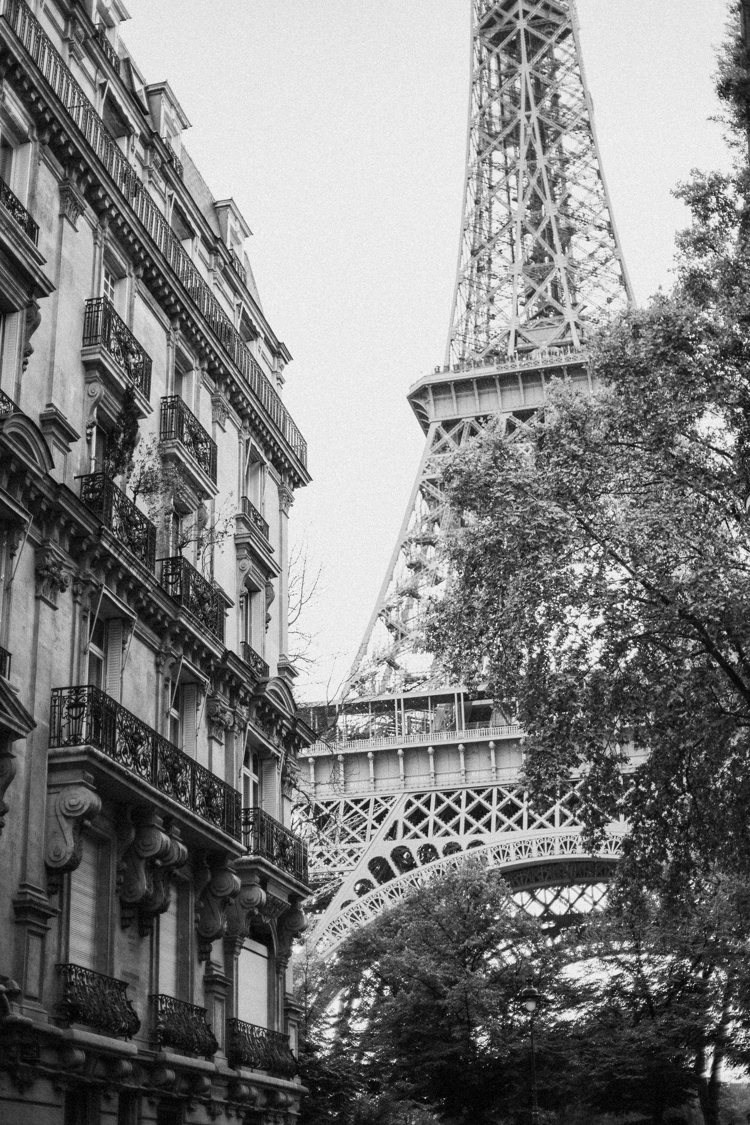 1520x2280 Stunning Black and White iPhone Wallpaper Background For Free