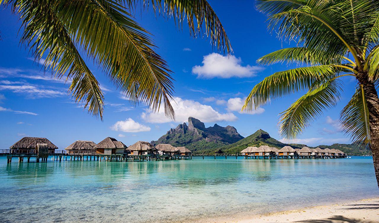 1280x754 Wallpaper Bora Bora French Polynesia Bungalow Sea Nature Palms