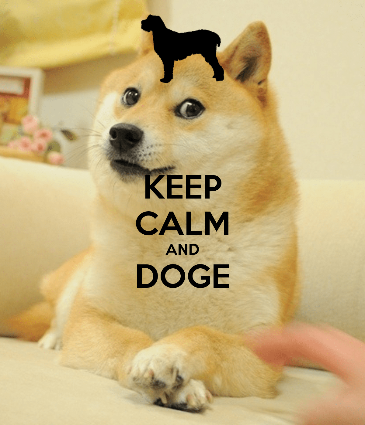 1200x1400 Dog Meme Wallpaper