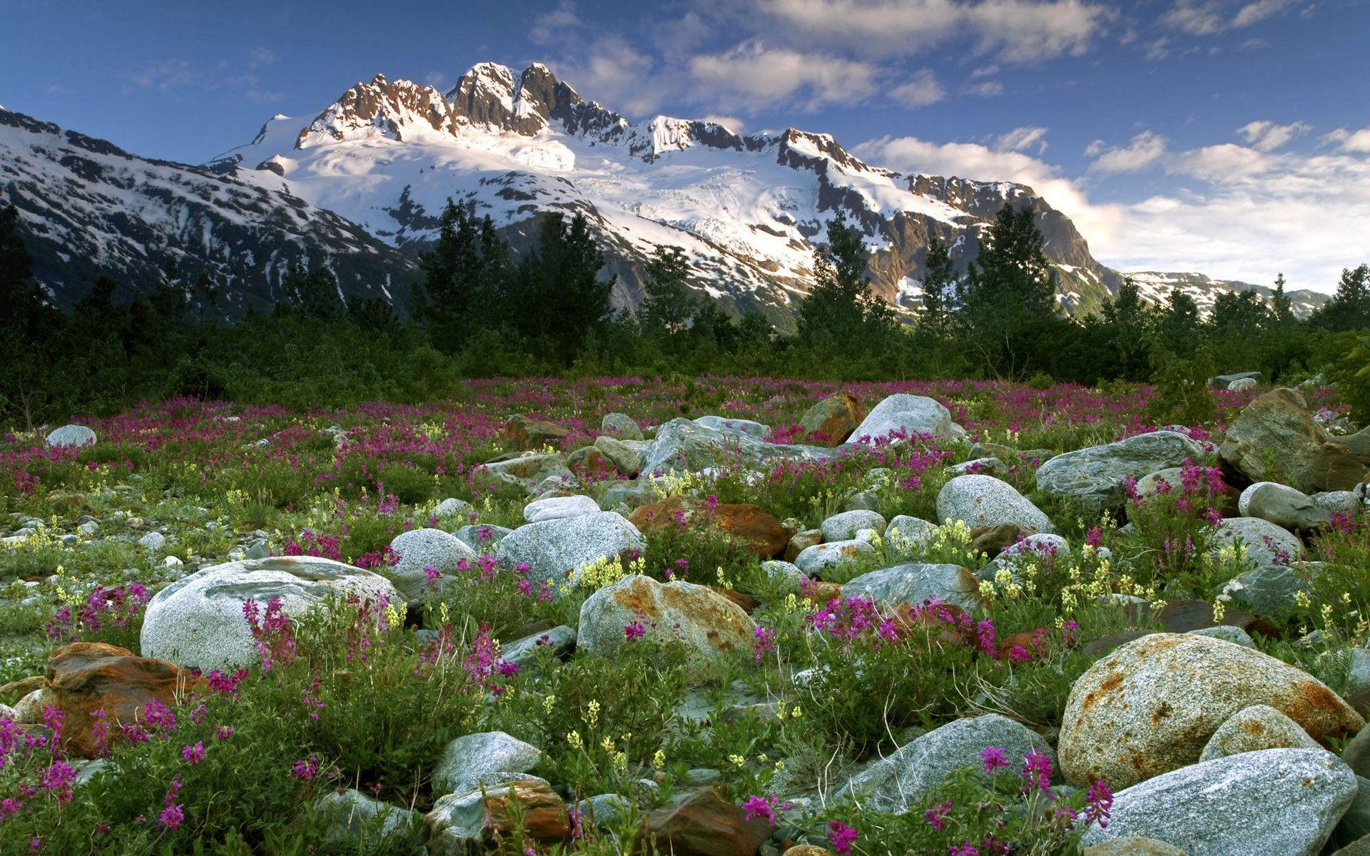 1920x1200 Visiting Canada Capped Mountains Wallpaper Wallpaper. Ландшафт, Идеи озеленения, Почвопокровные растения