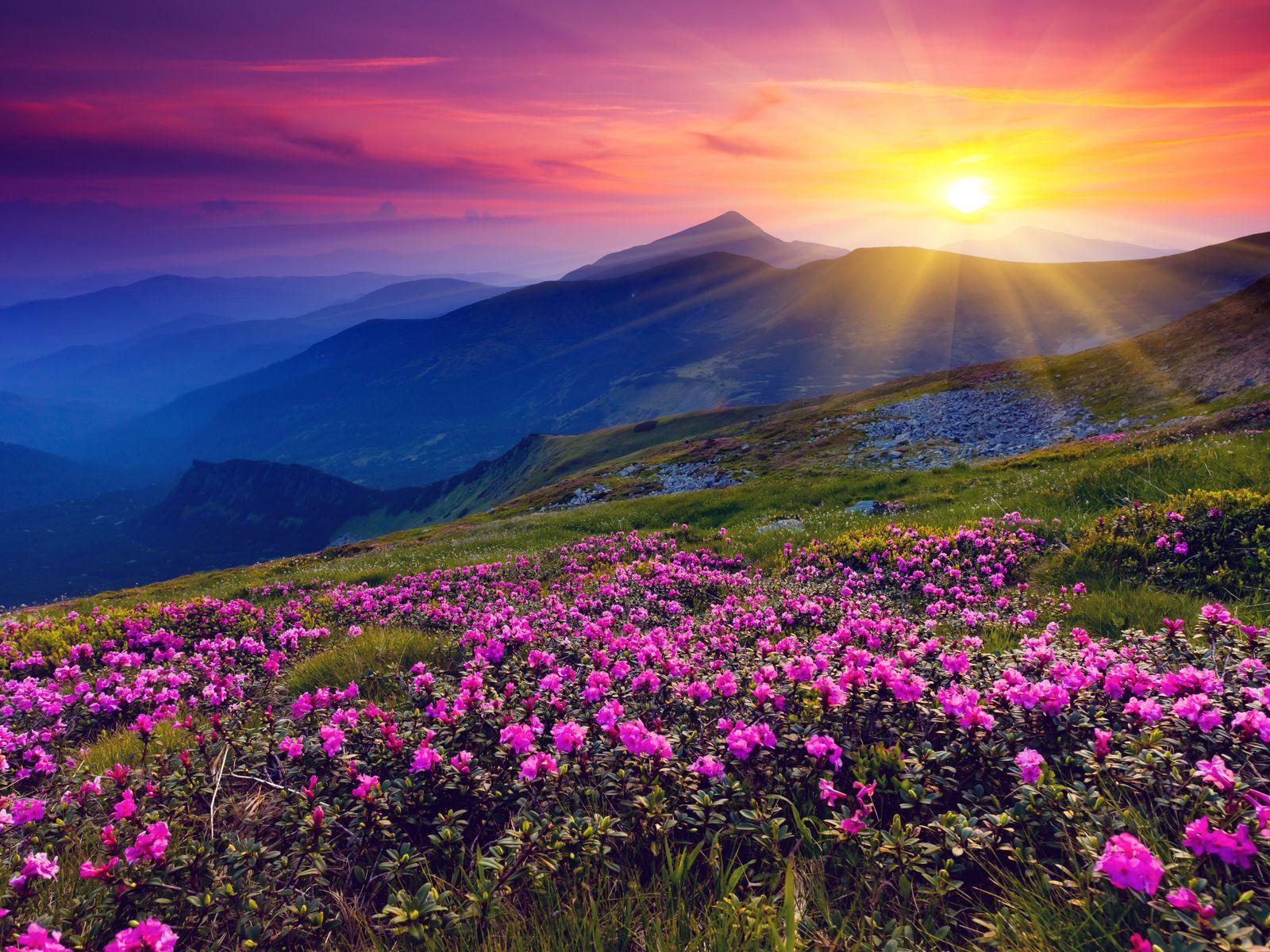 1600x1200 Wallpaper of Mountains