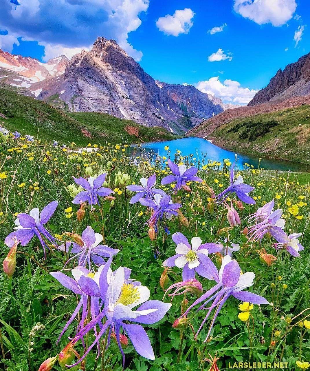 Floral Mountain Wallpapers - Top Free Floral Mountain Backgrounds ...