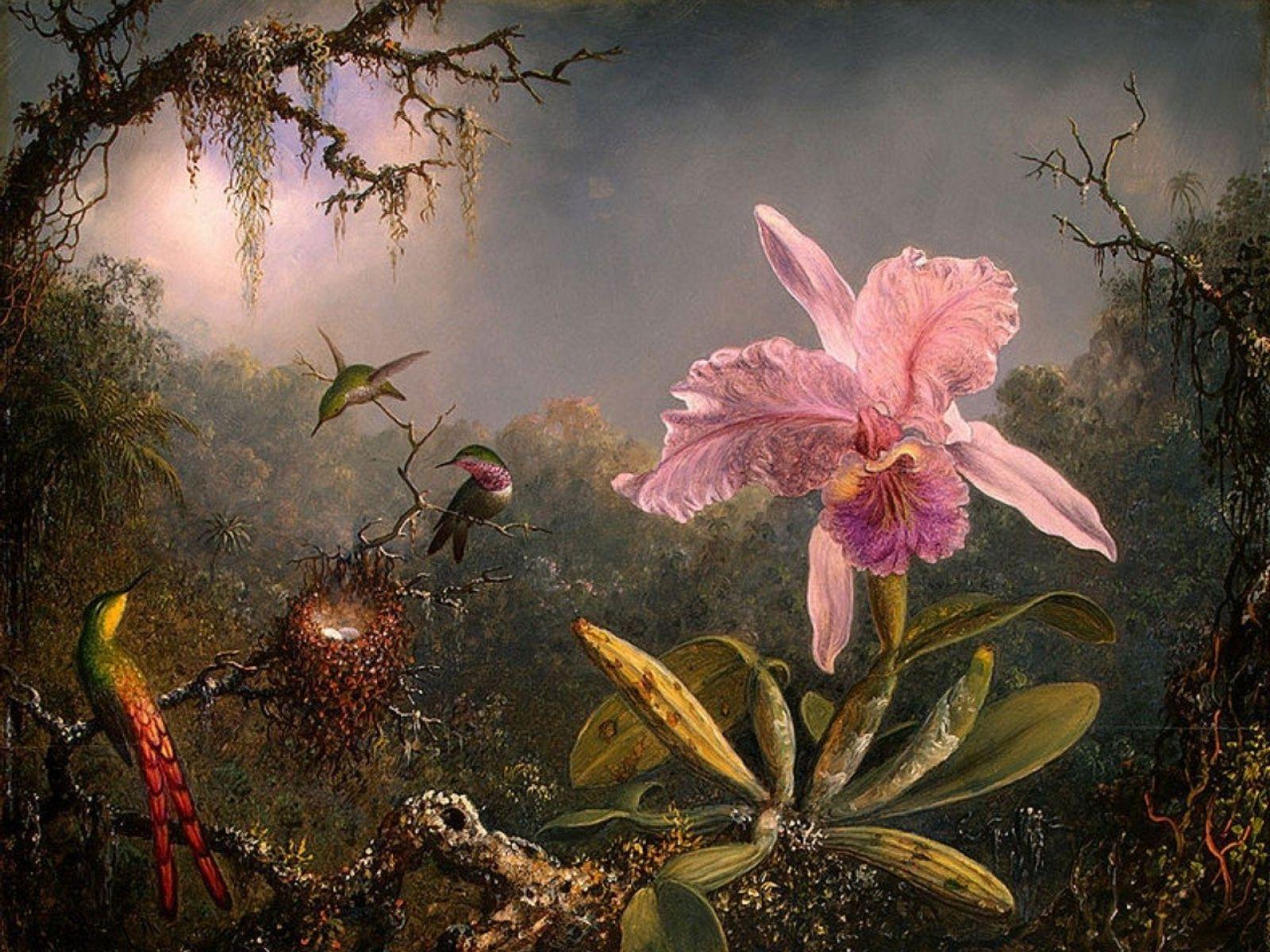 1600x1200 Hummys Nest Eggs Pink Orchid wallpaper. Hummys Nest Eggs Pink Orchid