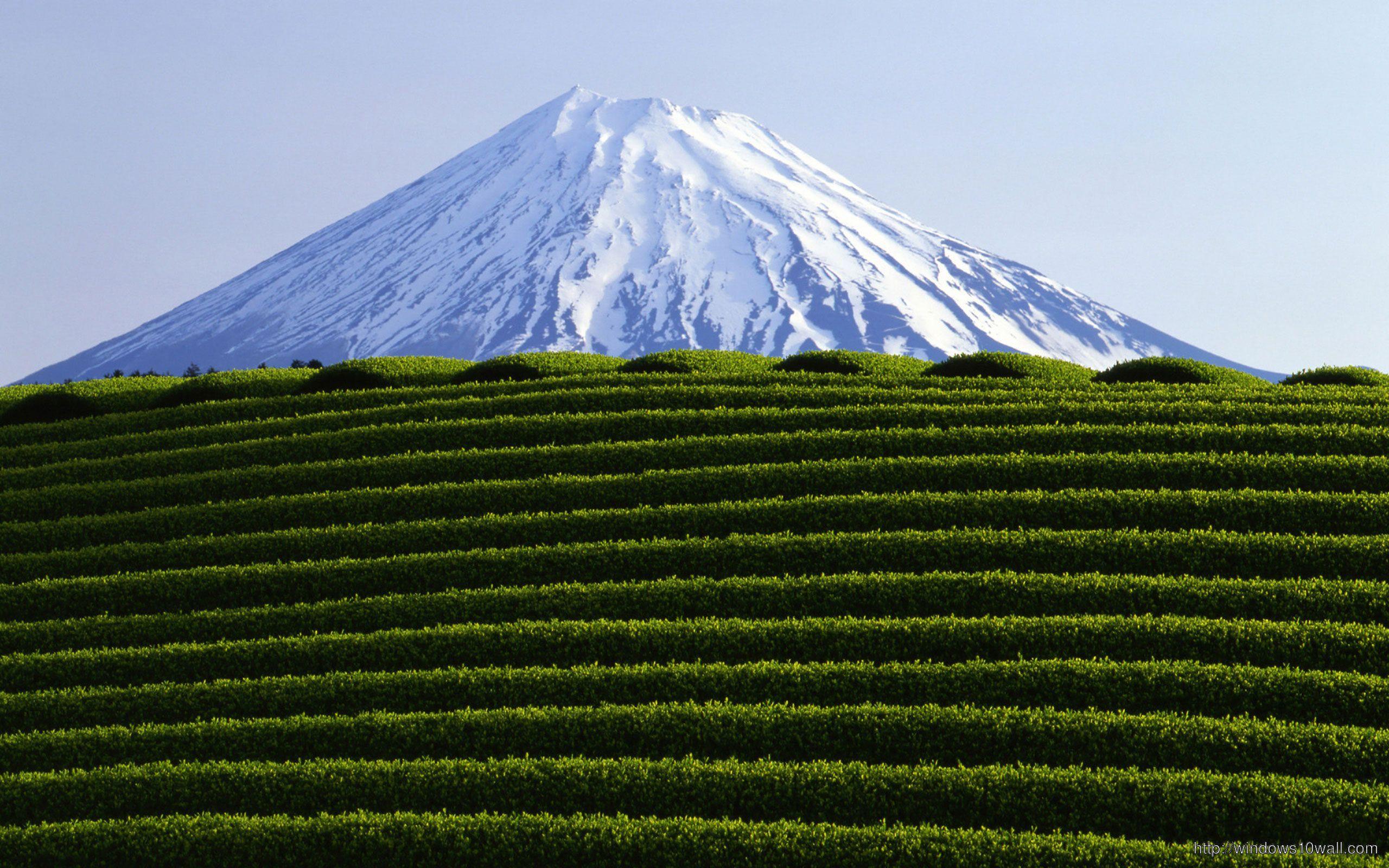 2560x1600 Beautiful Scenery Mountain Wallpaper
