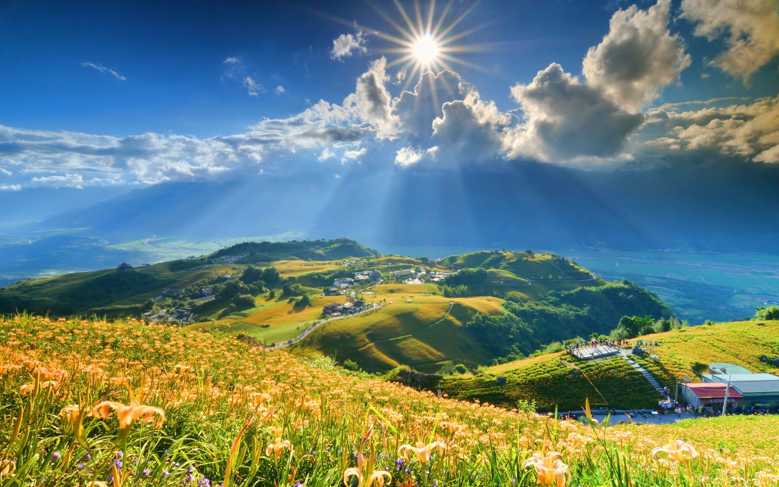 2560x1600 Mountains flowers lilies summer