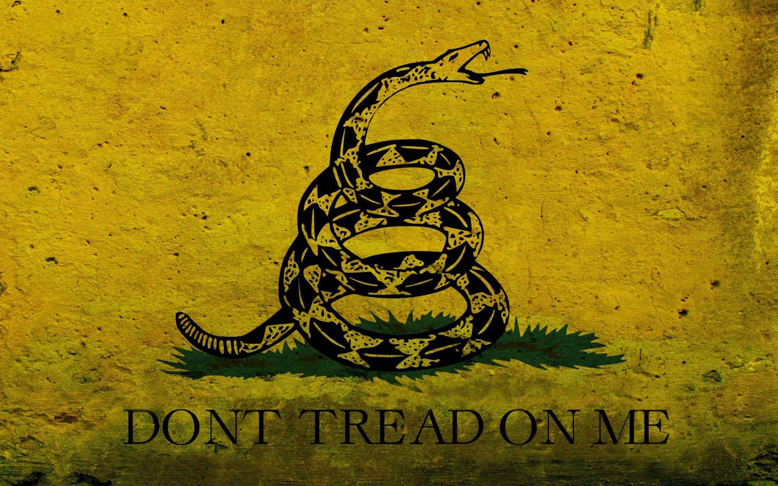 Don T Tread On Me Flag Wallpapers Top Free Don T Tread On Me Flag Backgrounds Wallpaperaccess