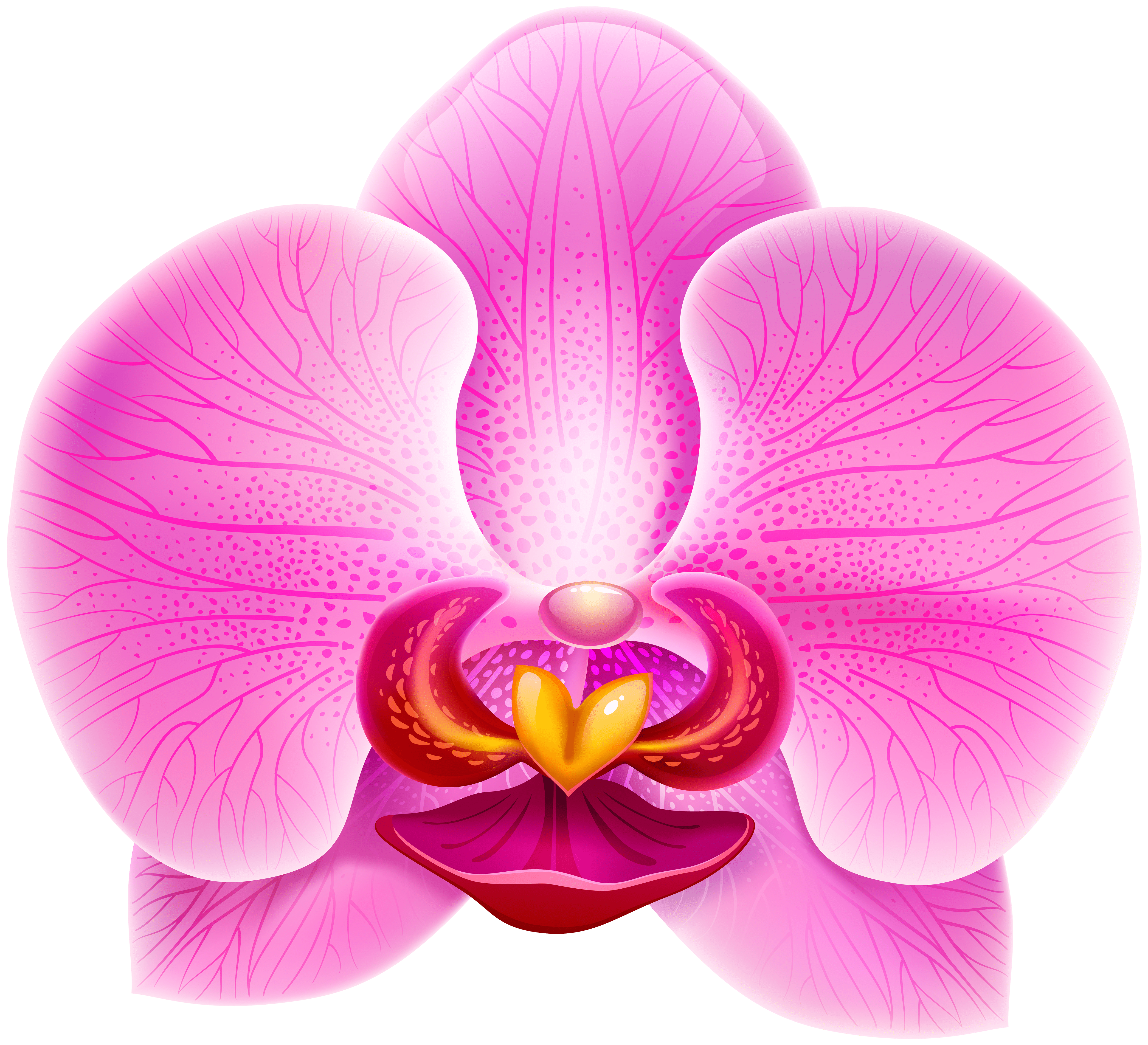 5000x4551 Pink Orchid PNG Clip Art Image Quality Image And Transparent PNG Free Clipart