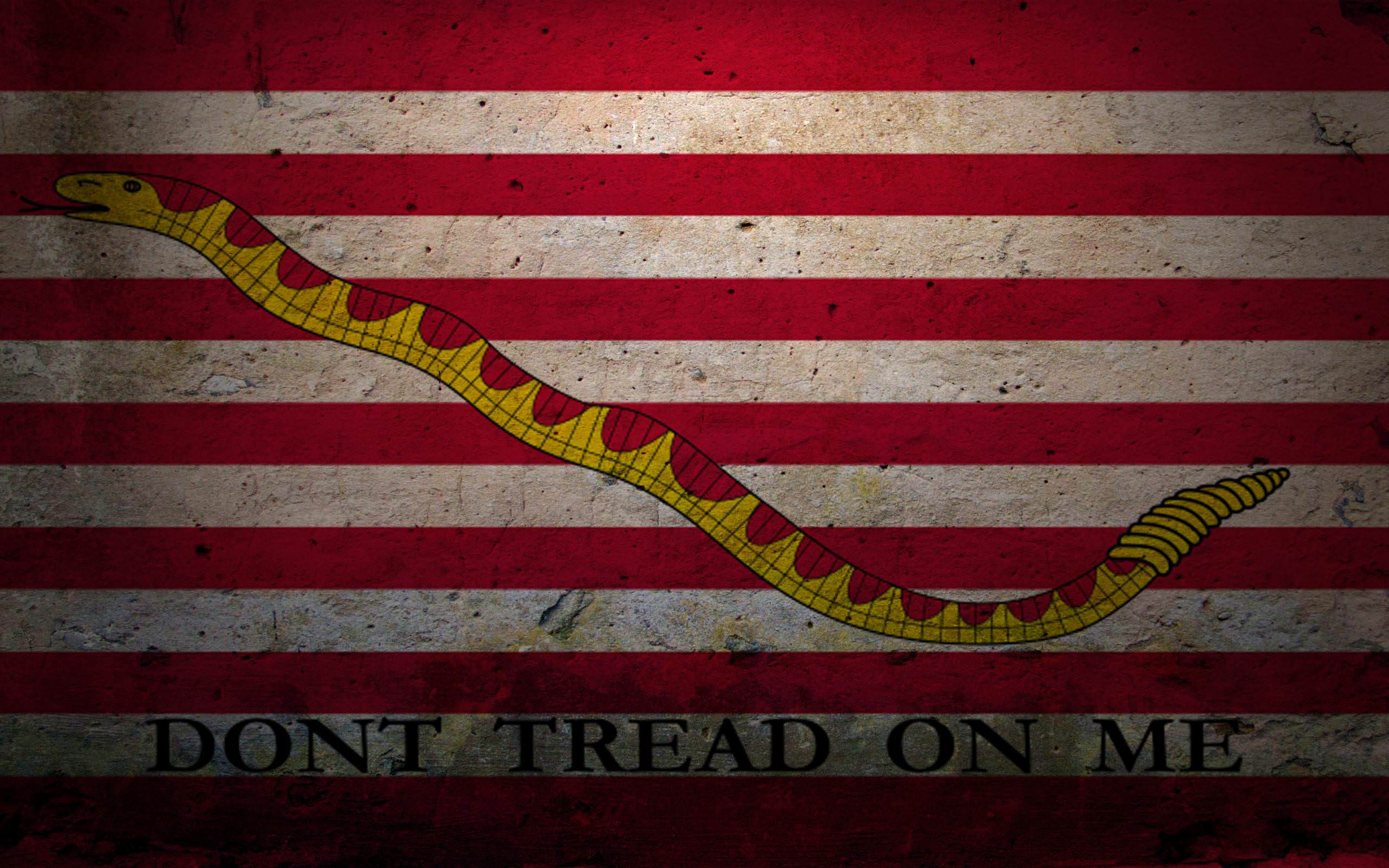 Don't Tread On Me Flag Wallpapers - Top Free Don't Tread On Me Flag