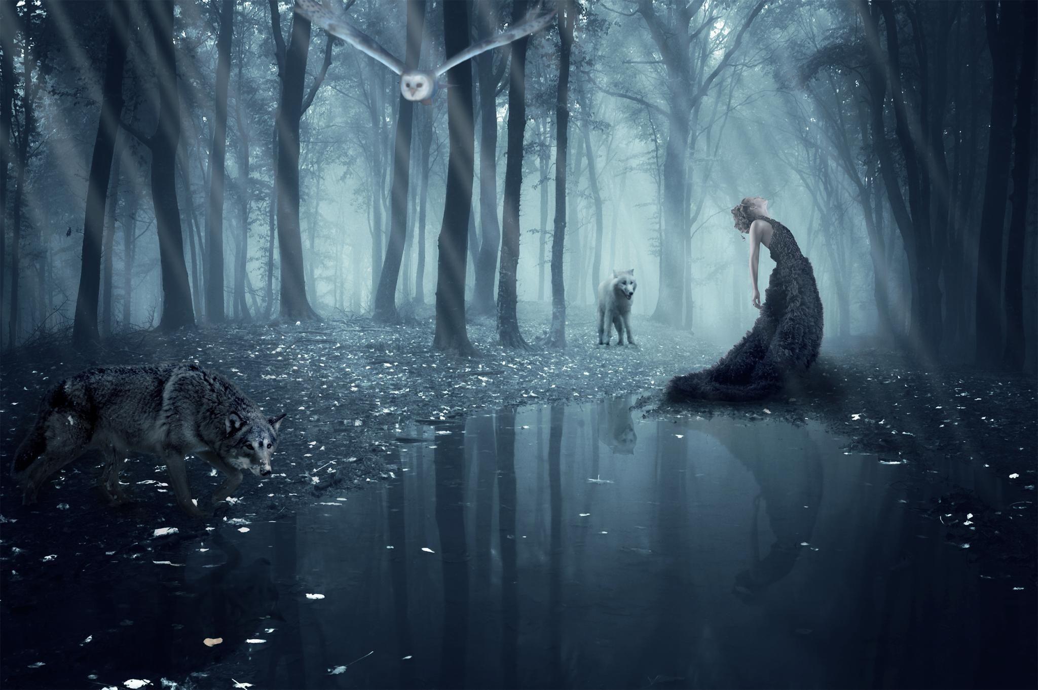 2048x1362 GOTH ART. Mood wallpaper, Wallpaper background, Fantasy forest