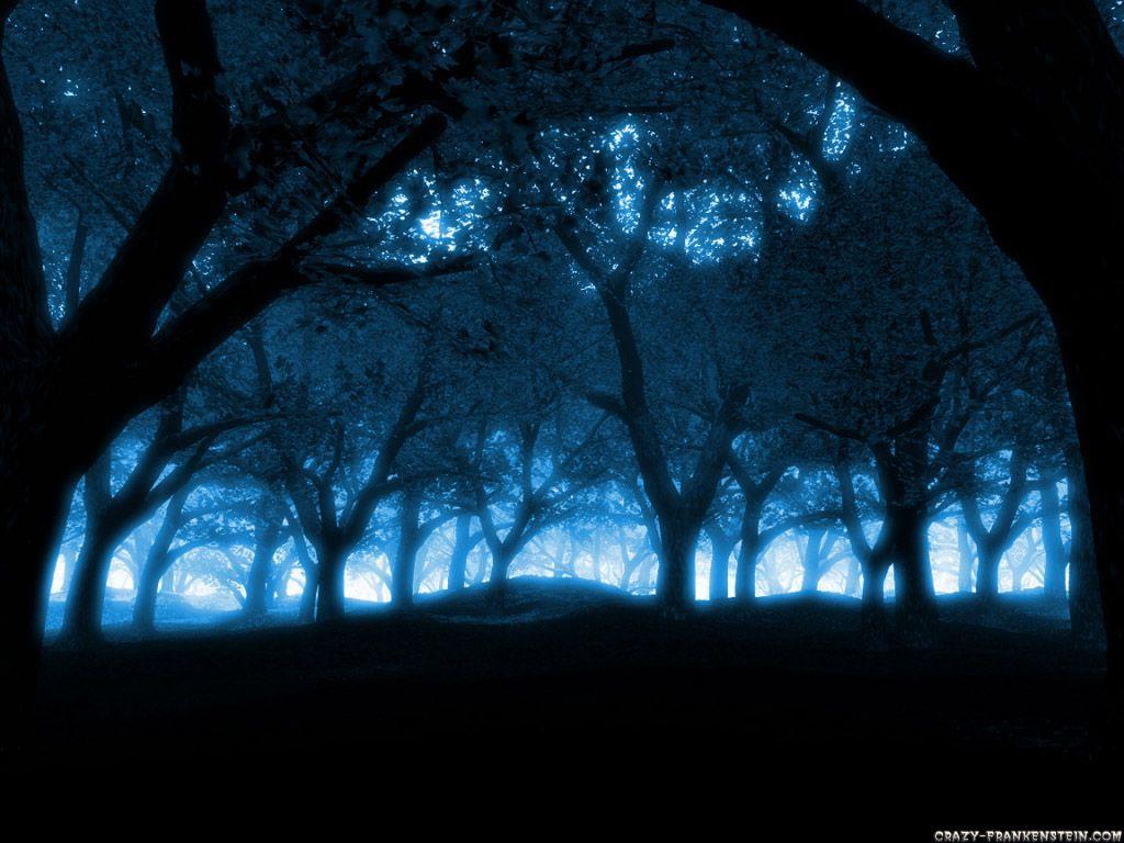 1024x768 Crazy picture of nature. View our collection of Forest Nature Crazy Frankenstein wallpaper and. Forest photography, Night forest, Blue forest
