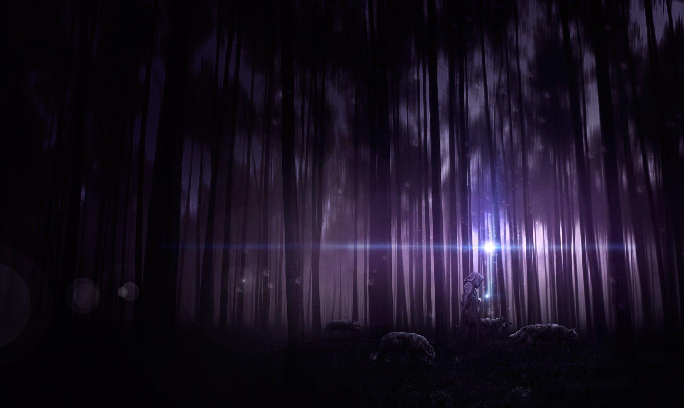 2393x1428 Night, Human, wolves wallpaper and image, picture, photo