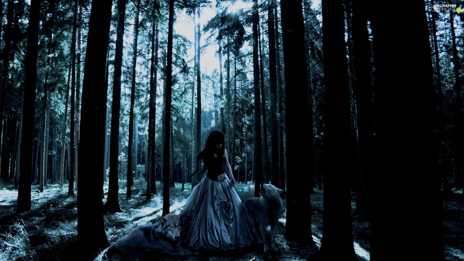 1920x1080 forest, wolves, girl, Night phone wallpaper: 1920x1080
