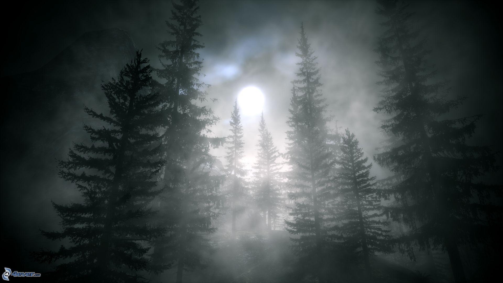 1920x1080 Dark Forest With Moon Wallpaper