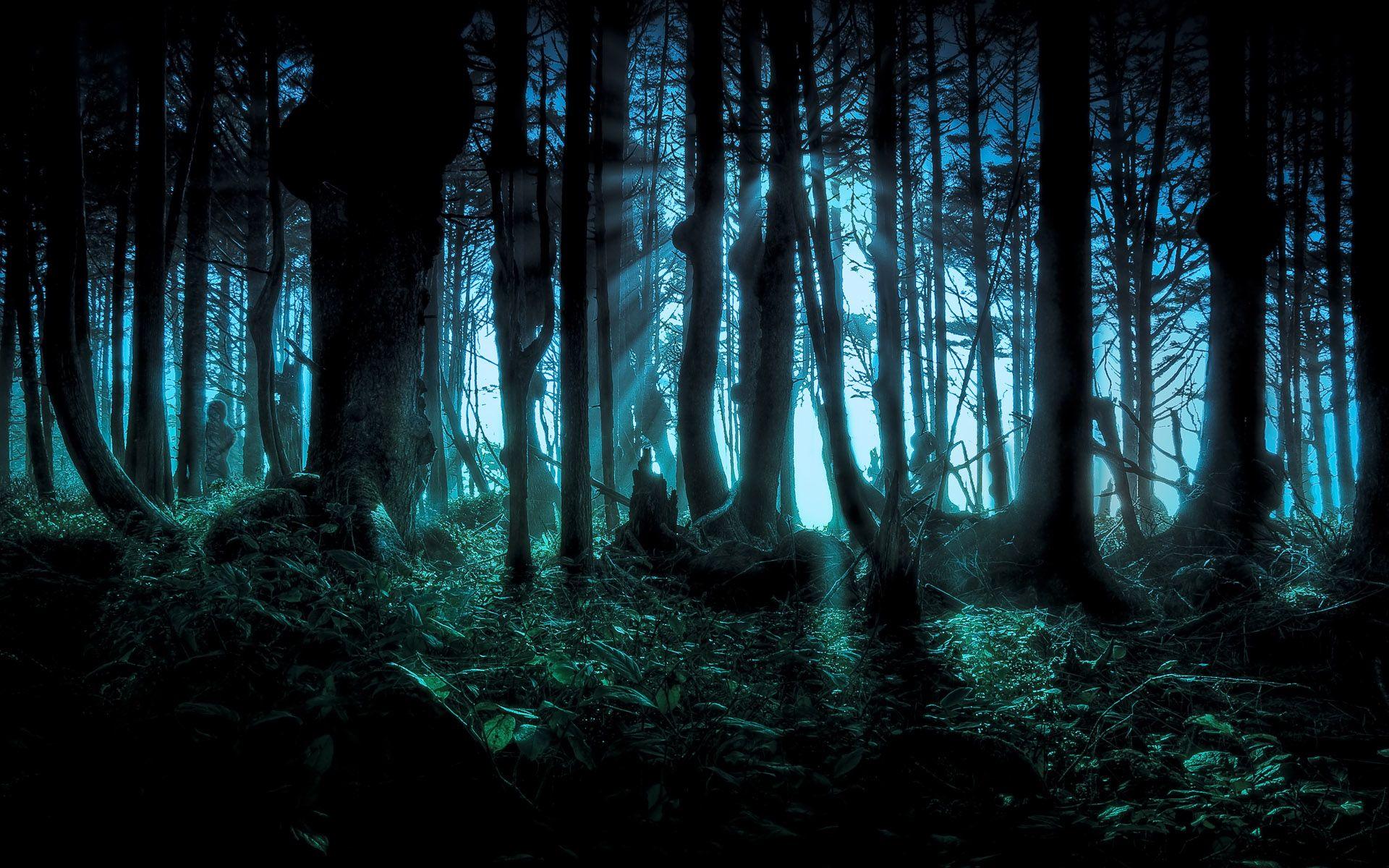1920x1200 Download wallpaper dark Forest with tags: Dark, Creepy, Windows Windows Windows XP, Blue, Night, Forest, Tree, Ghost, Spooky, macOS, iMac, Wood