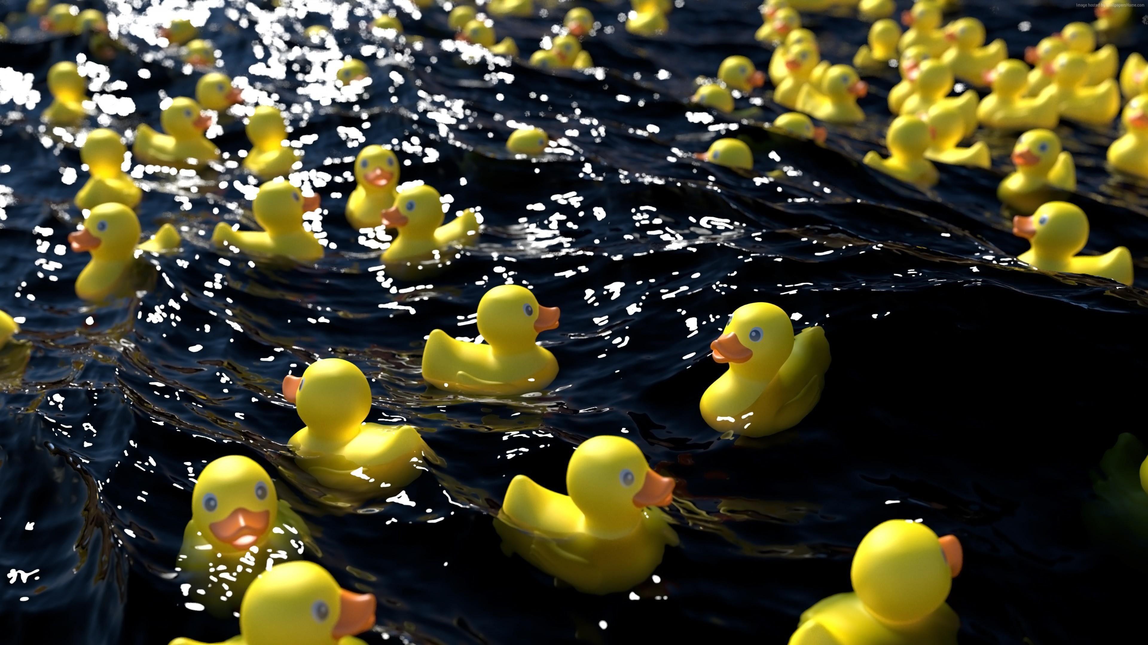 Ducky Wallpapers - Top Free Ducky Backgrounds - WallpaperAccess