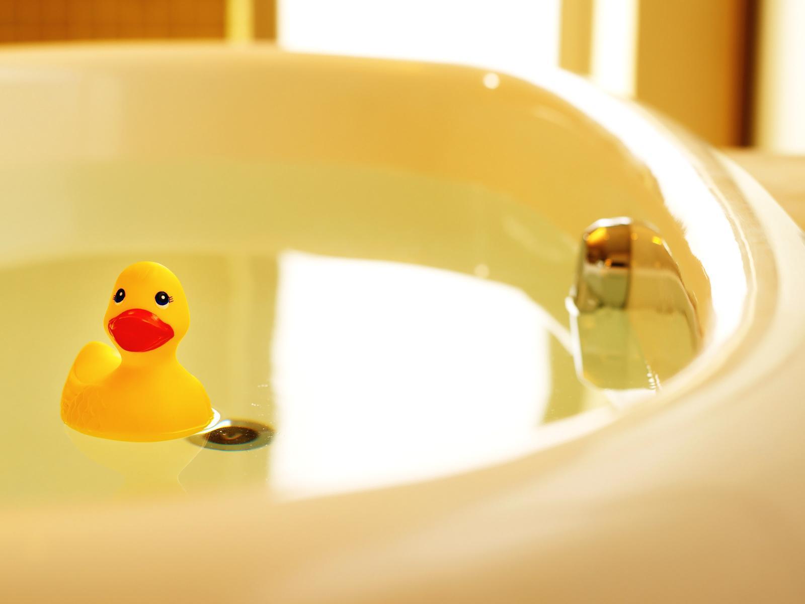 1600x1200 Rubber Ducky Wallpaper