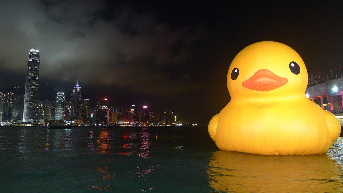 1191x670 Best Rubber Ducky Wallpaper in High Quality, Odile Gethins