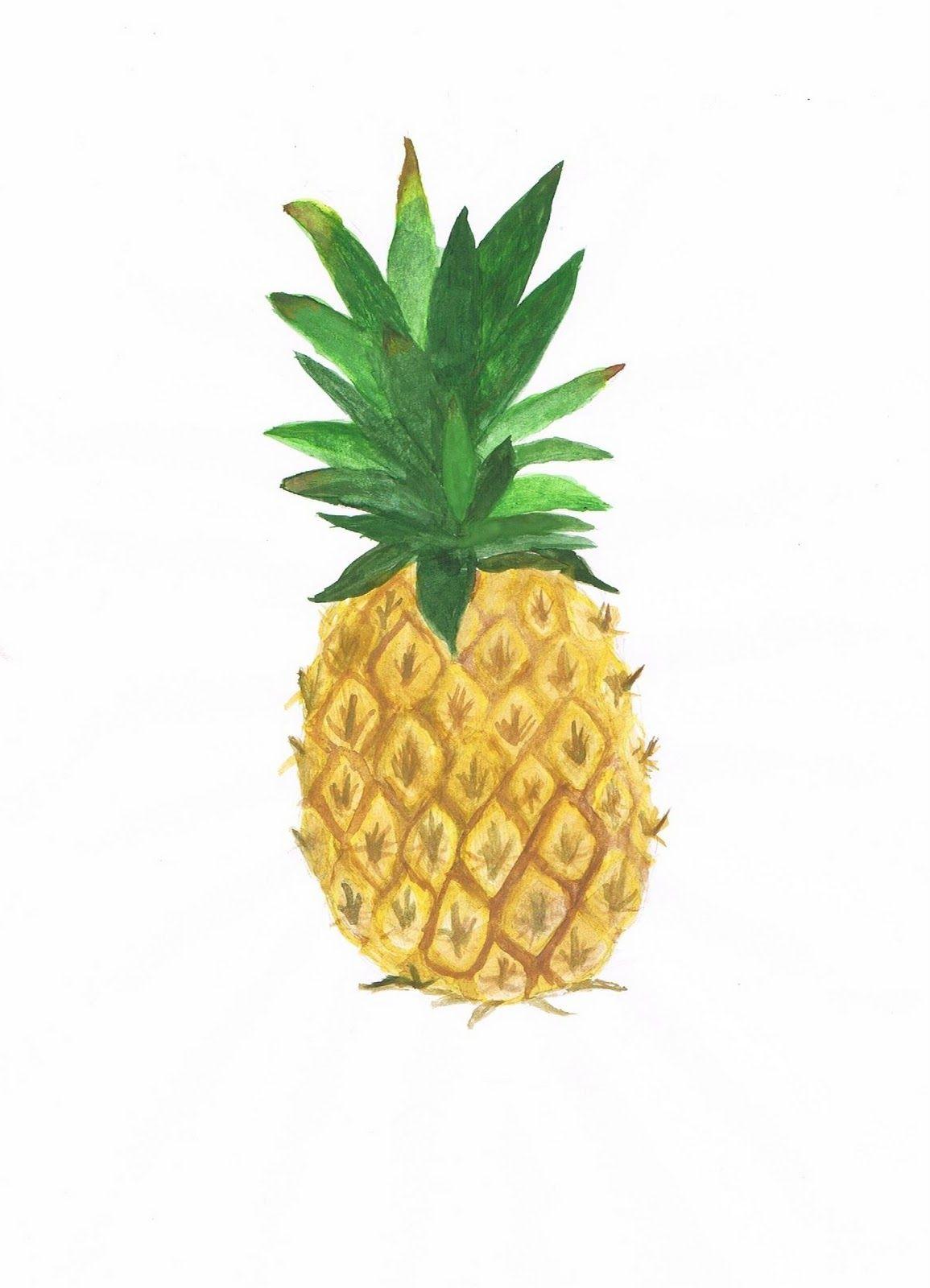 1155x1600 Free download Pineapple Png Tumblr Pineapple png [1155x1600] for your Desktop, Mobile & Tablet. Explore Tumblr Pineapple Wallpaper. Pineapple Wallpaper for Walls, Pineapple Phone Wallpaper, Pineapple Emoji Wallpaper