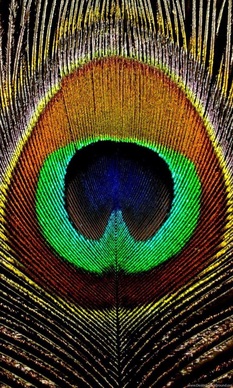 768x1280 Peacock Feathers Hình nền HD, Nền lông công, Mới.  Nền desktop
