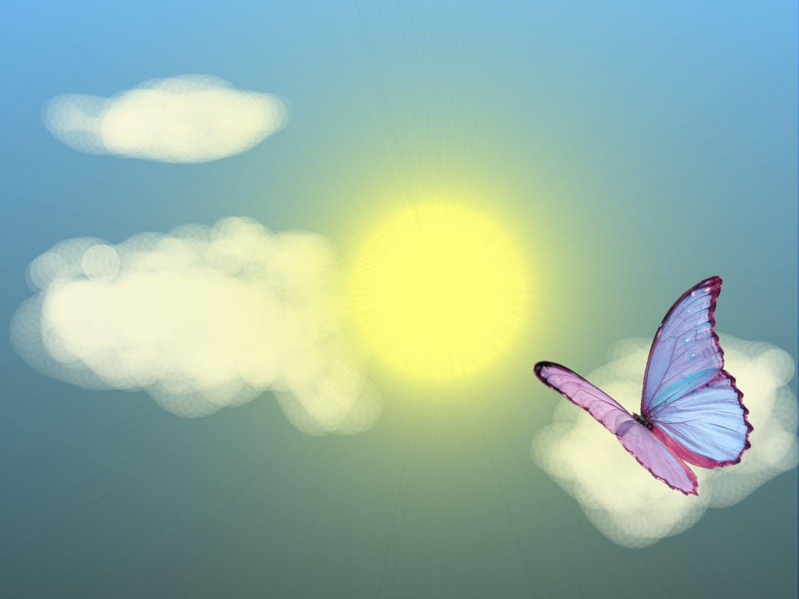 1600x1200 Butterfly by the sun. Summer wallpaper, Summer beach wallpaper, Summer desktop background