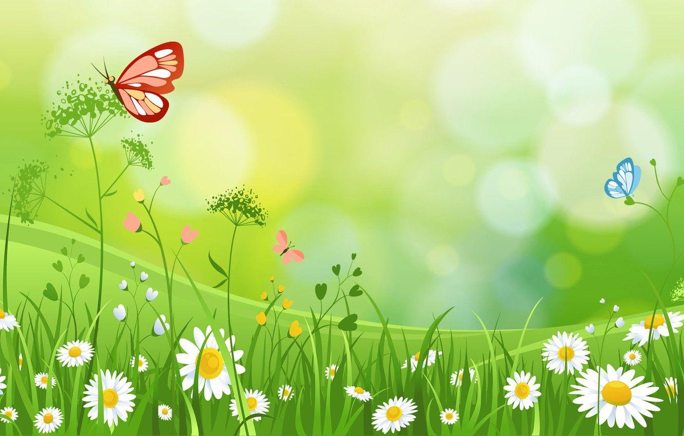 Butterfly Summer Desktop Wallpapers - Top Free Butterfly Summer Desktop ...