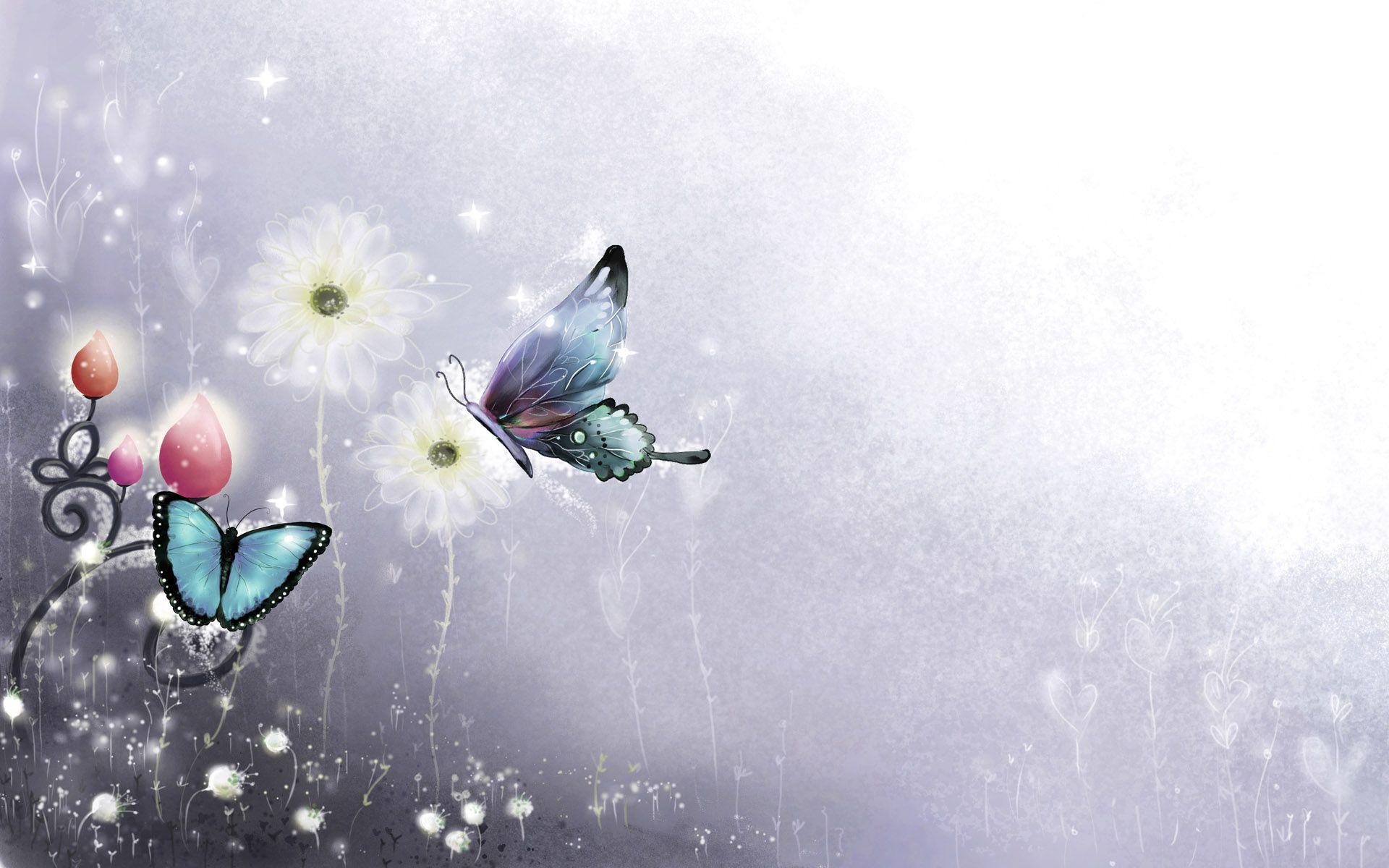 1920x1200 Full HDQ Butterfly Picture and Wallpaper Showcase